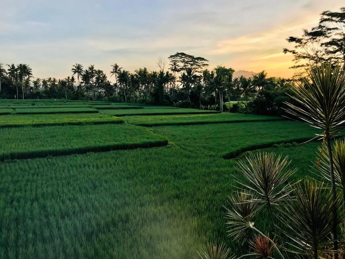 Puri Ananda Villa Ubud  Ubud (Bali)