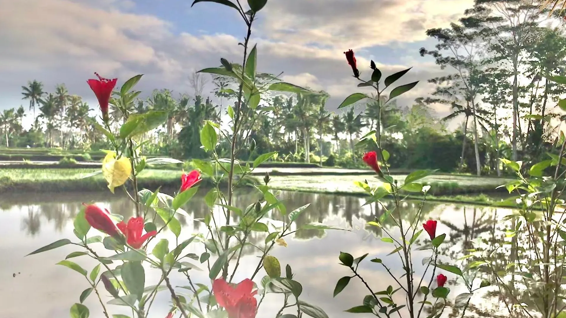 Puri Ananda Villa Ubud